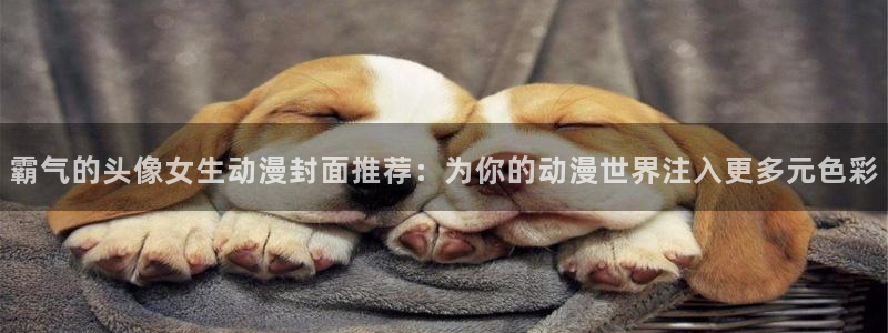 omofun正版下载ios：霸气的头像女生动漫封面推荐：为你的动漫世界注入更多元色彩
