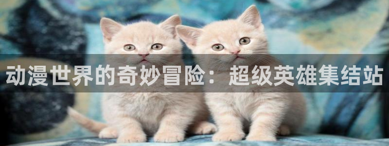 omofun旧版本：动漫世界的奇妙冒险：超级英雄集结站
