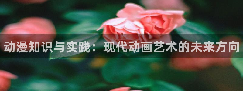 omofun完整版：动漫知识与实践：现代动画艺术的未来方向