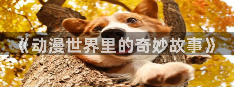 omofun动漫在线观看免费全集：《动漫世界里的奇妙故事》