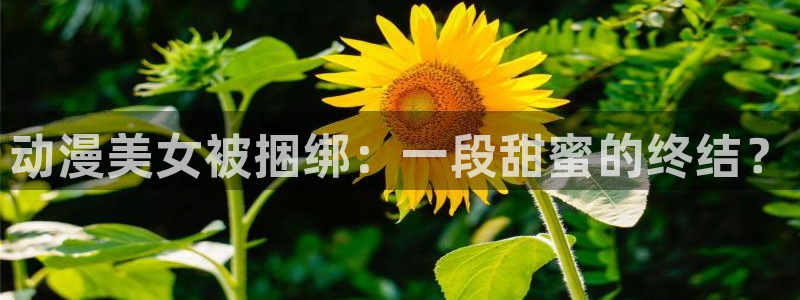 进入omofun官网：动漫美女被捆绑：一段甜蜜的终结？