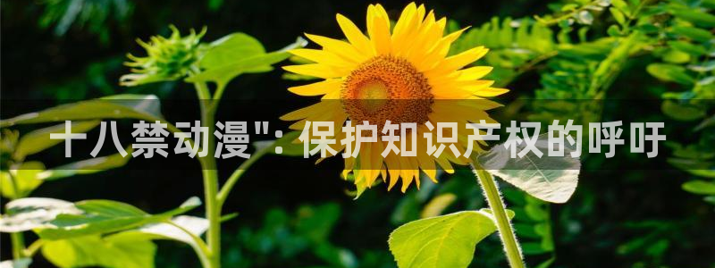 omofun动漫官方：十八禁动漫\