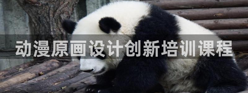 omofun正版官方下载链接：动漫原画设计创新培训课程