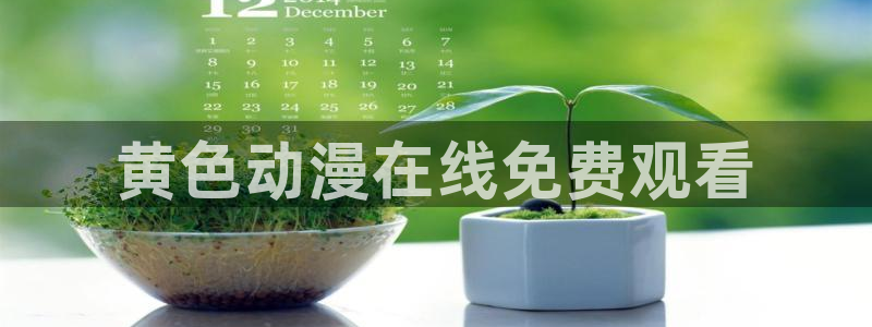 omofun老版本：黄色动漫在线免费观看