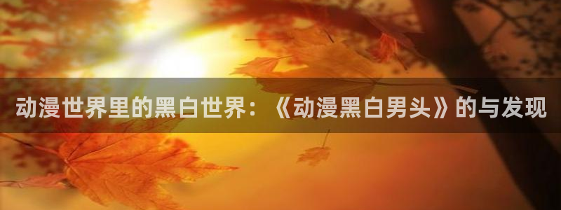 #omofun：动漫世界里的黑白世界：《动漫黑白男头》的与发现