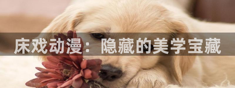 omofun动漫手机版：床戏动漫：隐藏的美学宝藏