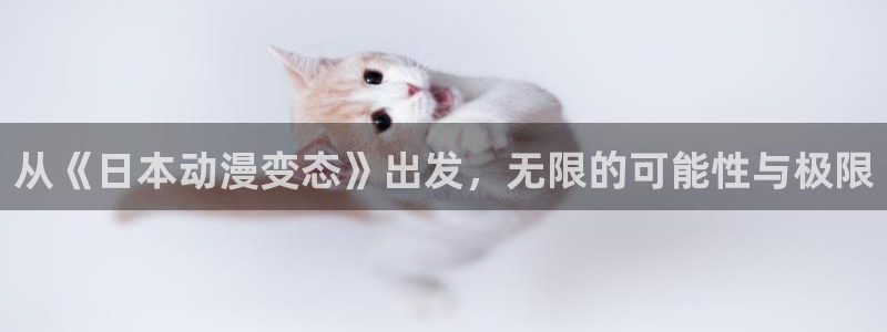 omofun更新：从《日本动漫变态》出发，无限的可能性与极限