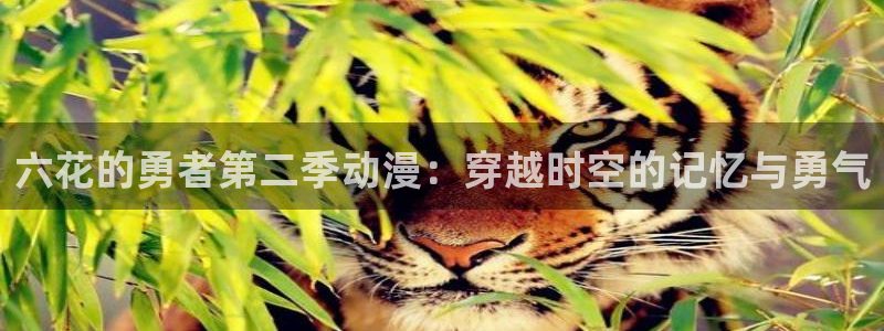 omofun专注动漫的网站：六花的勇者第二季动漫：穿越时空的记忆与勇气