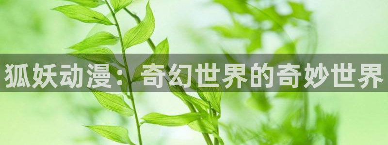 omofun官方网站：狐妖动漫：奇幻世界的奇妙世界