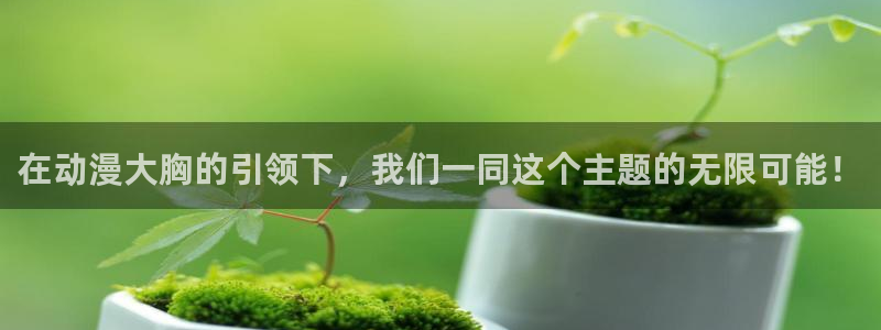 omofun官方网页：在动漫大胸的引领下，我们一同这个主题的无限可能！
