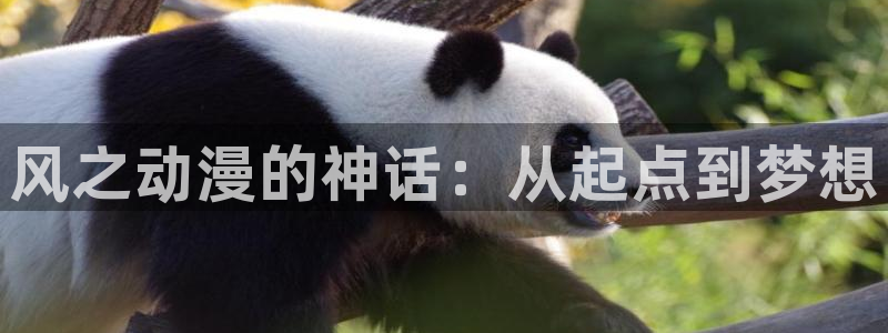 #omofun：风之动漫的神话：从起点到梦想