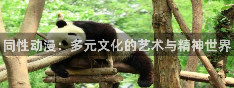 omofun\'：同性动漫：多元文化的艺术与精神世界