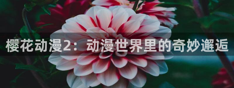 omofun. link：樱花动漫2：动漫世界里的奇妙邂逅