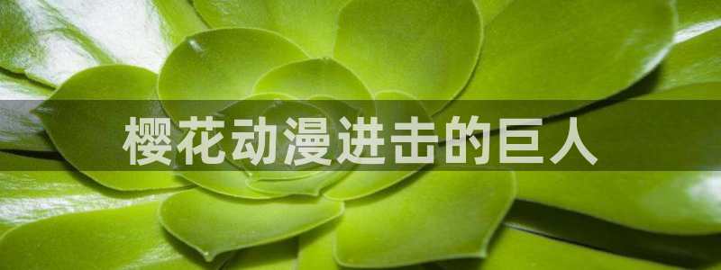 omofun动漫共和国下载：樱花动漫进击的巨人
