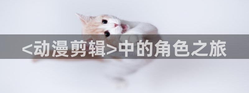 omofun 翻译：<动漫剪辑>中的角色之旅